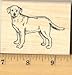 Yellow Labrador Retriever Dog Rubber Stamp - Wood Mounted