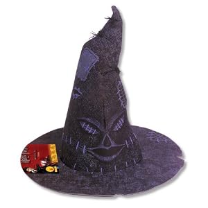Harry Potter's Child Sorting Hat