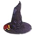 Harry Potter Costume Accessory, Child's Sorting Hat