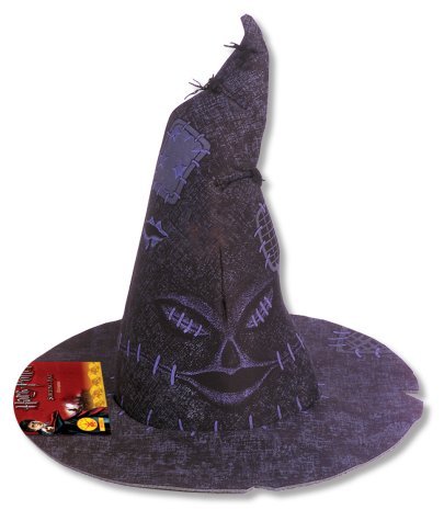 Harry Potter Costume Accessory, Child’s Sorting