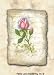 Art Poster Print - Psalm 95 Rose - Artist: Annie Lapoint - Poster Size: 5 X 7 inches