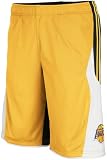 Los Angeles Lakers FG Mesh Short