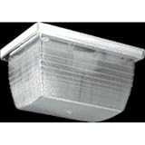 RAB VAN4I 150W Incandescent Vandalproof Light