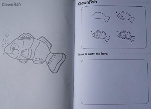 Learn to Draw Coloring Kit - Sea Life