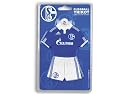 FC Schalke 04 Trikot / Autotrikot 2010/2011