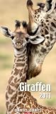 Produkt-Bild: Giraffen 2011