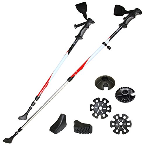 Ultega anti-shock walking sticks