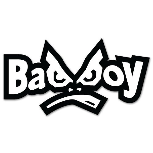 Bad Boy Logo MMA UFC Fighting White Sticker Decal 6" x 3"