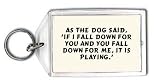As the dog said, 'If I fall down for you and you fall down for me, it is playing.' Keychain