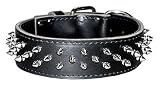 2'' Df Full-spiked Latigo Collar