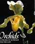 Orchids: Flowers of Romance and Mystery