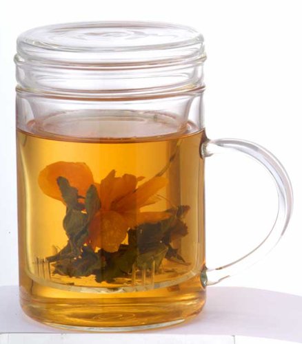 Primula Personal Glass Tea Mug