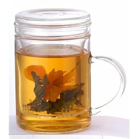 Primula Personal Glass Tea Mug by Primula