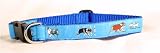 Designer Australian Shepherd Dog Collar - Green Australian Shepherd Collar - Medium-Plus - Made in USA