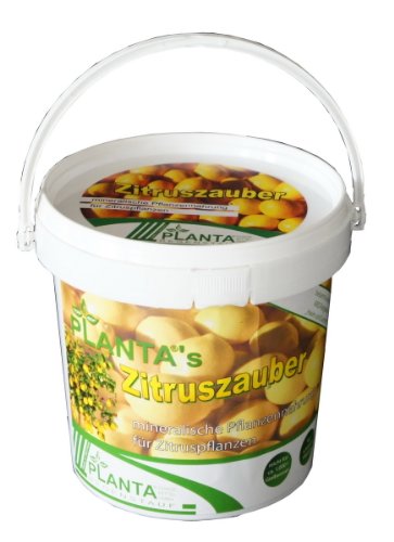 Planta 953811 Plantas Zitruszauber, 1 kg, mineralisches Spezialn&auml;hrsalz f&uuml;r Zitruspflanzen Preisvergleich
