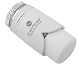 Schlösser Thermostatkopf