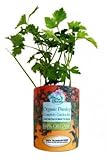 IMAGE OF Gifts That Bloom ~ Organic Parsley Garden