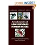 Aerodynamics of Low Reynolds Number Flyers (Cambridge Aerospace Series)