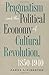 Pragmatism and the Political Economy of Cultural Revolution, 1850-1940 (Cultural Studies of the United States)