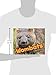 Wombats (Pebble Plus; Australian Animals)