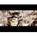 Product Video: Anti-piracy trailer