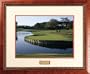 TPC Sawgrass 16th Hole