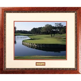 TPC Sawgrass 16th Hole