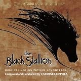 The Black Stallion