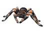 RC Tarantula Spider - Red and Grey