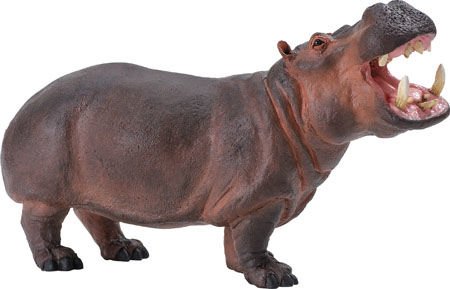 Childrens Toyshop  Toys : Safari Wildlife Wonders Hippo
