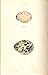 2 H/C Meyer Bird EGGS 1842 MOOR HEN & OYSTER CATCHER