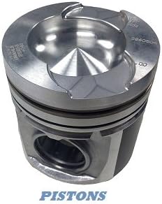 PAI Nut Cmpressor ENU0229