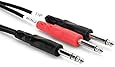 Hosa Cable STP202 TRS To Dual 1/4 Inch Insert Cable - 6.5 Foot