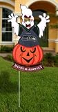 20" Lighted NFL Seattle Seahawks "Happy Halloween" Yard Decoration