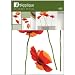 Huge Poppies Flower Wall Mural Sticker / Decals