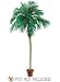 Pack of 2 Artificial Phoenix Palm Trees 8'