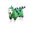 Casual Canine 12-Inch Polyester Dogzilla Dinosaur Dog Costume, Small