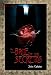 El Baile de los Secretos (Ficcionbooks)