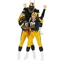 Green Bay Packers 2009 Team Celebration Christmas Tree Ornament