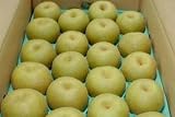 佐賀産 伊万里梨「幸水」中玉18～20個入り