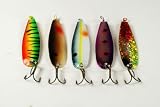 Lot of 5 New Akuna 3