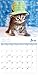 Cats In Hats 2017 Wall Calendar