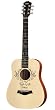 Taylor Swift Baby Taylor Guitar at Amazon.com