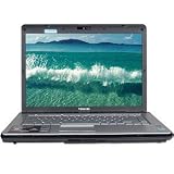 TOSHIBA SATELLITE A205-S5861 T5550/1.80C 3072MB/2-DIMM 200GB/4200RPM DVDRW MR 56 ( PSAE3U-07D023 )