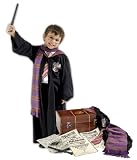 Harry Potter Trunk