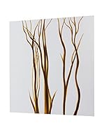 ECLECTIC COLLECTION Lienzo Marrón