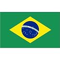 Brazil Flag 2ft x 3ft Nylon Flag