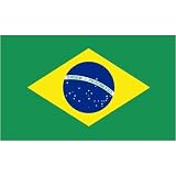 Brazil Flag 2ft x 3ft Nylon Flag