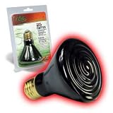 Pet Supplies : CERAMIC HEAT EMITTER 250W