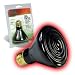 CERAMIC HEAT EMITTER 250W